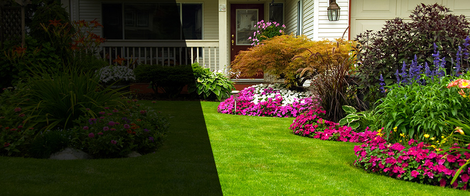 Elko New Market Landscapers