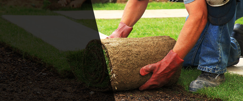 Elko New Market Landscapers